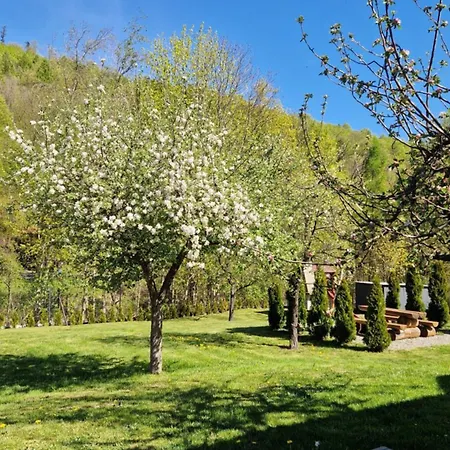 Pod Klimczokiem Guest house Bystra (Bielsko)